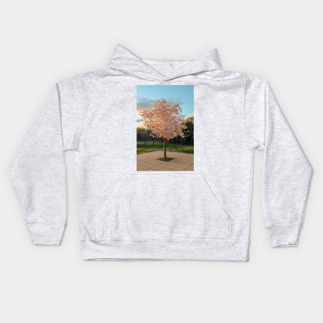 Cherry Blossom 7 Kids Hoodie by igjustin